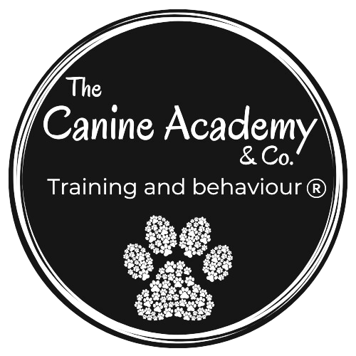 Canine Academy & Co